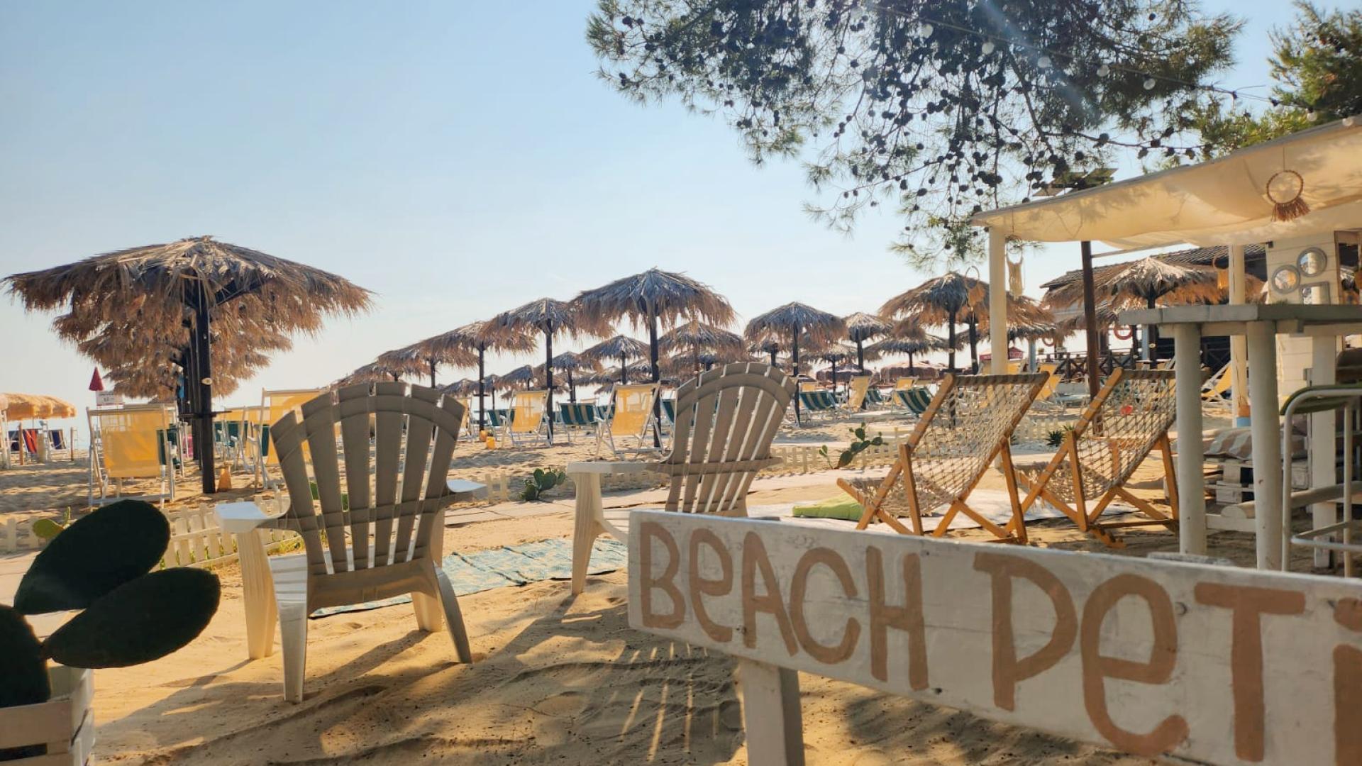 Spiaggia con ombrelloni di paglia e sedie, atmosfera rilassante.